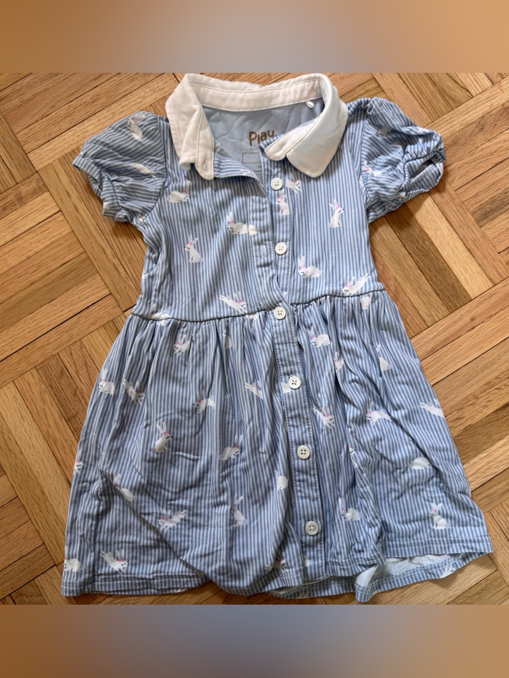 Little Sleepies Blue Striped Dress with White Swan Motif